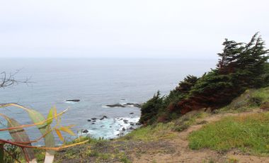 TERRENO DE 3,2 HA EN SECTOR EL TEBO ,HORCON