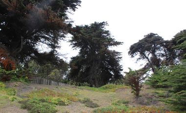 TERRENO DE 3,2 HA EN SECTOR EL TEBO ,HORCON
