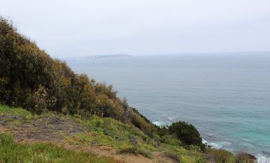 TERRENO DE 3,2 HA EN SECTOR EL TEBO ,HORCON
