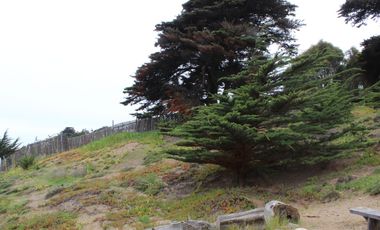 TERRENO DE 3,2 HA EN SECTOR EL TEBO ,HORCON