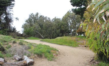 TERRENO DE 3,2 HA EN SECTOR EL TEBO ,HORCON