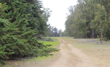 TERRENO DE 3,2 HA EN SECTOR EL TEBO ,HORCON