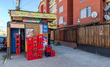 Salomón Sumar 3599 [3367-5]