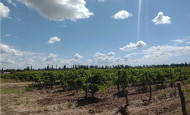 VENDO FINCA A TRANQUERA CERRADA SAN RAFAEL MENDOZA