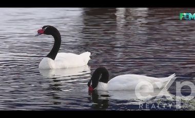 Sitio en Venta en municipalidad de maullin