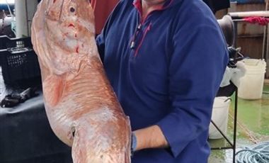 Sitio en Venta en municipalidad de maullin