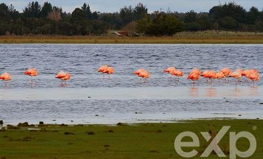 Sitio en Venta en municipalidad de maullin