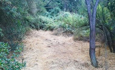 Sitio en Venta en El Alamo // Hijuela