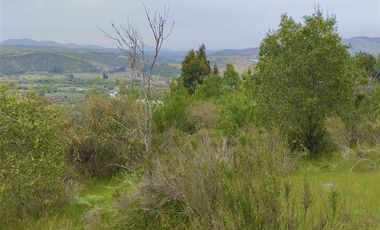 Sitio en Venta en El Alamo // Hijuela