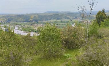 Sitio en Venta en El Alamo // Hijuela