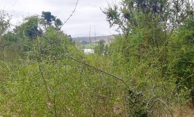 Sitio en Venta en El Alamo // Hijuela