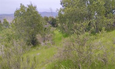 Sitio en Venta en El Alamo // Hijuela