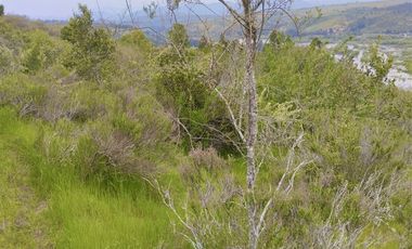 Sitio en Venta en El Alamo // Hijuela