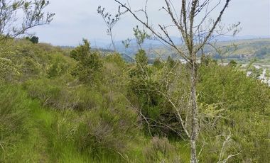 Sitio en Venta en El Alamo // Hijuela