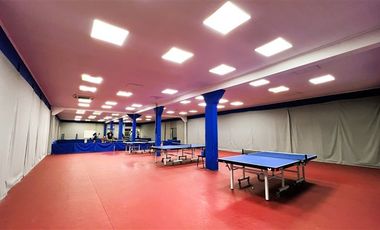 Galpón en Arriendo en Los Industriales / Exequiel Fernández