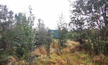 Casa en Venta en Casa regularizada de 131m2 en Parcela de 5.000m2 en Correntoso