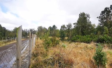 Casa en Venta en Casa regularizada de 131m2 en Parcela de 5.000m2 en Correntoso