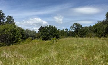 Terreno en venta ubicado en Camino Villarrica a Pucón