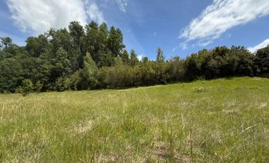 Terreno en venta ubicado en Camino Villarrica a Pucón