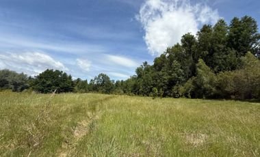 Terreno en venta ubicado en Camino Villarrica a Pucón