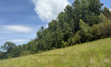 Terreno en venta ubicado en Camino Villarrica a Pucón