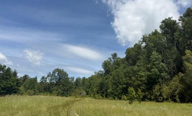 Terreno en venta ubicado en Camino Villarrica a Pucón