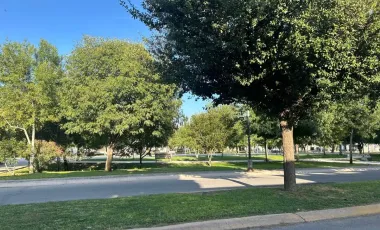 Terreno en Venta en Hacienda del Rosario, Torreón, Coahuila de Zaragoza