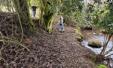 35 PARCELAS CON ACCESO POR VIA ASFALTADA - A 18 KM DE OSORNO