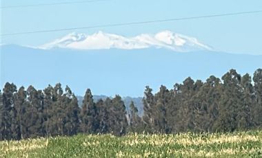 35 PARCELAS CON ACCESO POR VIA ASFALTADA - A 18 KM DE OSORNO