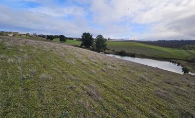 35 PARCELAS CON ACCESO POR VIA ASFALTADA - A 18 KM DE OSORNO