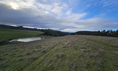 35 PARCELAS CON ACCESO POR VIA ASFALTADA - A 18 KM DE OSORNO
