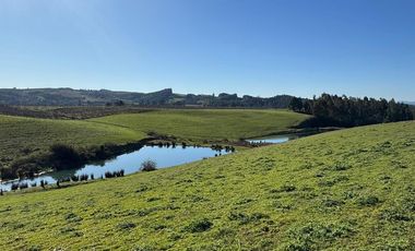 35 PARCELAS CON ACCESO POR VIA ASFALTADA - A 18 KM DE OSORNO