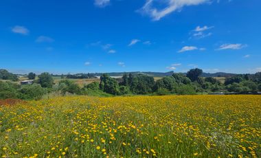 35 PARCELAS CON ACCESO POR VIA ASFALTADA - A 18 KM DE OSORNO