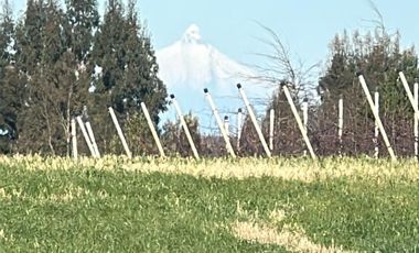 35 PARCELAS CON ACCESO POR VIA ASFALTADA - A 18 KM DE OSORNO