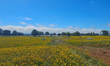 35 PARCELAS CON ACCESO POR VIA ASFALTADA - A 18 KM DE OSORNO
