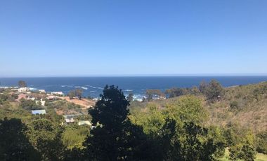 ARRIENDO POR DIA departamento con vista  en Condominio Parque Zapallar