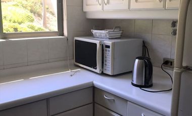 ARRIENDO POR DIA departamento con vista  en Condominio Parque Zapallar