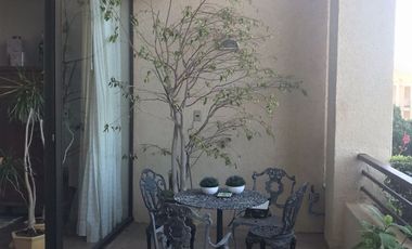 ARRIENDO POR DIA departamento con vista  en Condominio Parque Zapallar