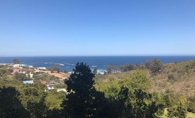 ARRIENDO POR DIA departamento con vista  en Condominio Parque Zapallar