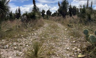 Banco de materiales en Las Derrumbadas Puebla