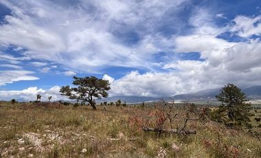 Banco de materiales en Las Derrumbadas Puebla