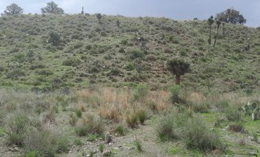 Banco de materiales en Las Derrumbadas Puebla