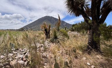 Banco de materiales en Las Derrumbadas Puebla