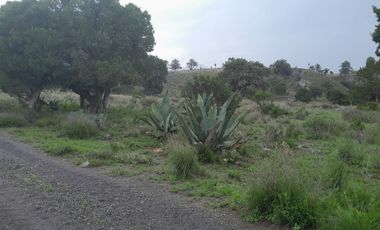 Banco de materiales en Las Derrumbadas Puebla