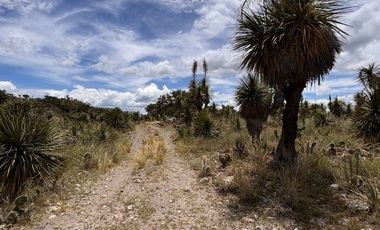 Banco de materiales en Las Derrumbadas Puebla
