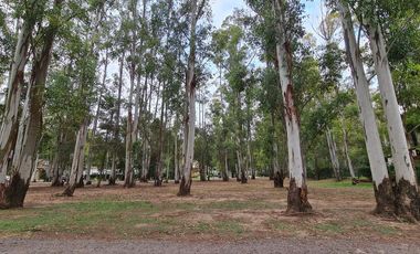 Terreno Club de Rio Puerto Paraiso - 1350 m2