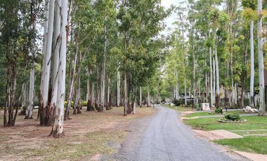 Terreno Club de Rio Puerto Paraiso - 1350 m2