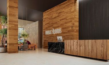 DEPARTAMENTO LUJO - Pasaje Alamos (preventa)