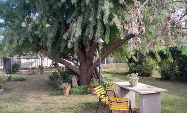 Casa de 2 dormitorios en Oliveros con gran terreno.