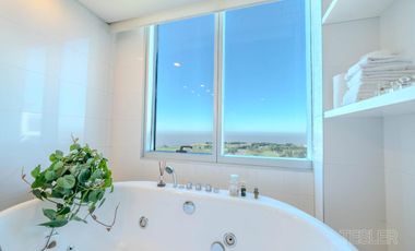 Torre Alrio Penthouse vista al rio 3 dormitorios en suite Terraza quincho parrilla jacuzzi propio